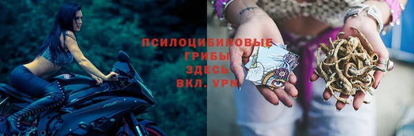 амфетамин Белокуриха