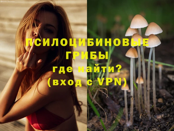 амфетамин Белокуриха